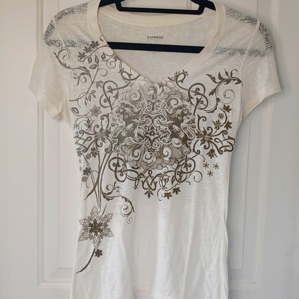 Express v-neck burnout tee